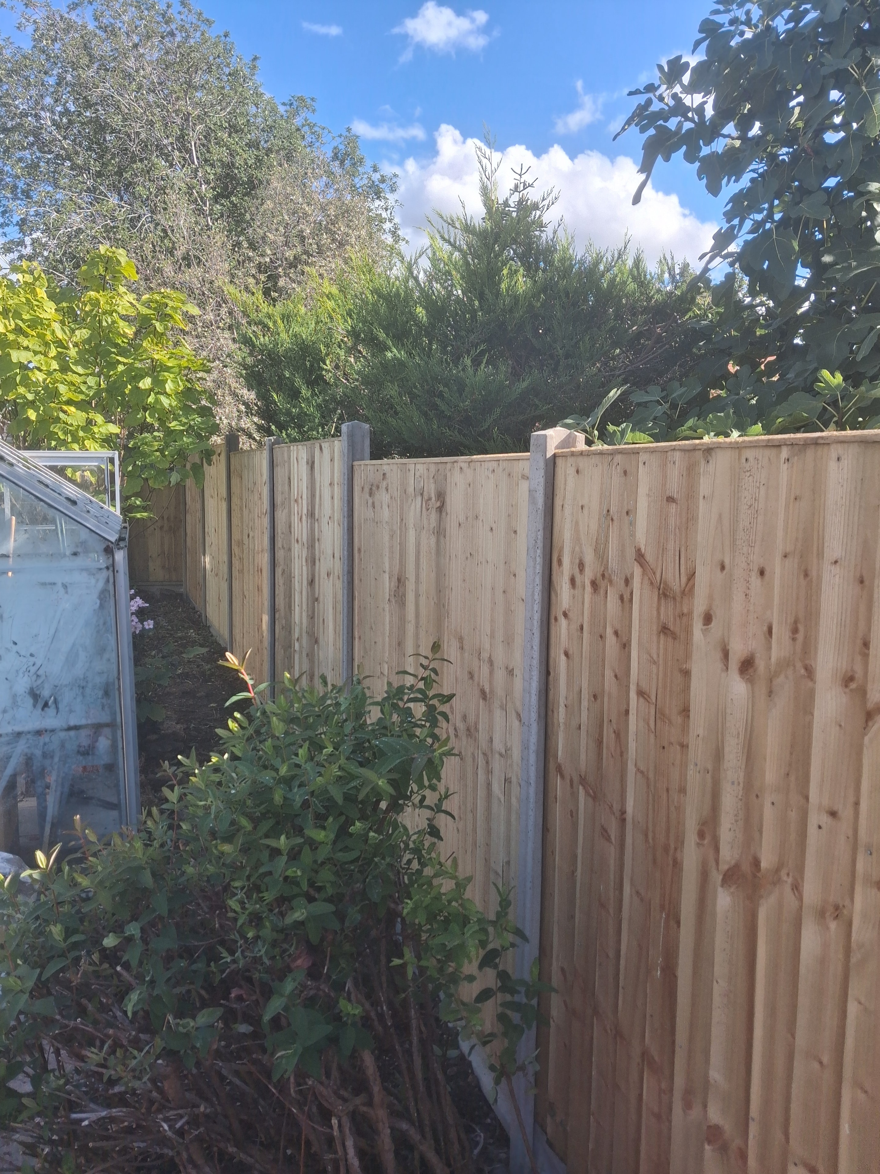 Garden fencing project