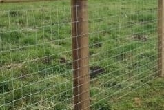 Rural post and rail fencing