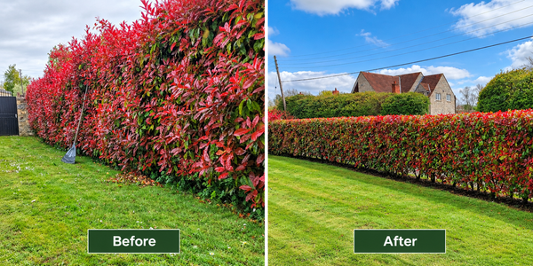 General Garden Services