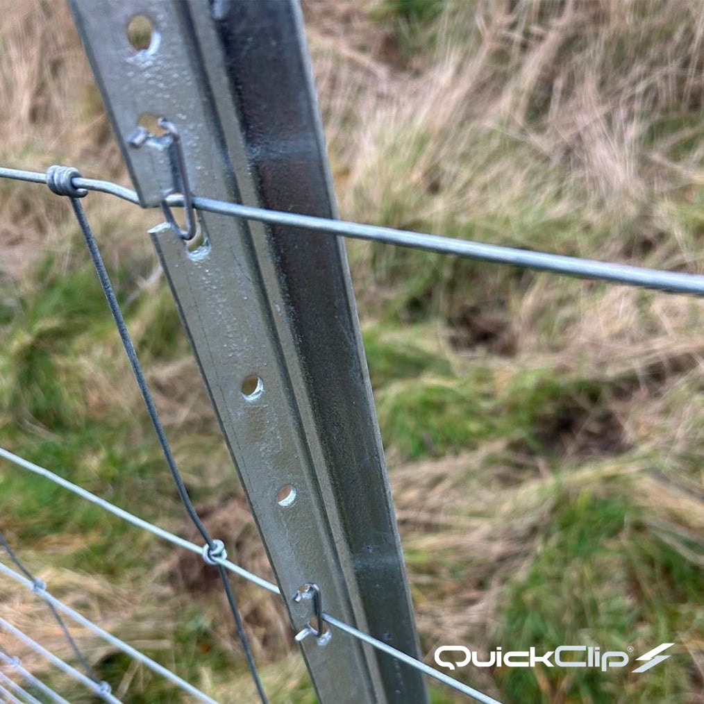 Agricultural clip-on wire system installed on steel fence posts